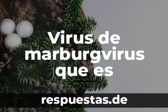 Virus de marburgvirus que es