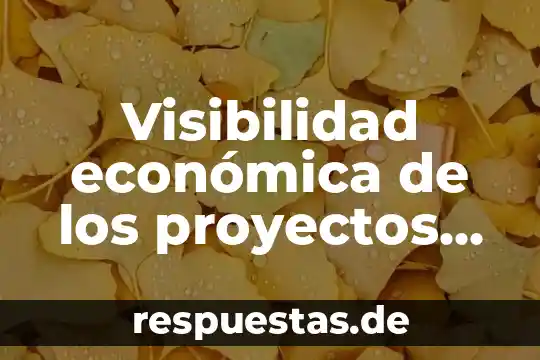 Que es la evaluación de proyectos en la ingeniería 7 Visibilidad económica de los proyectos de inversión que es
