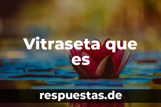 Que es el nombre comercia 8 Vitraseta que es