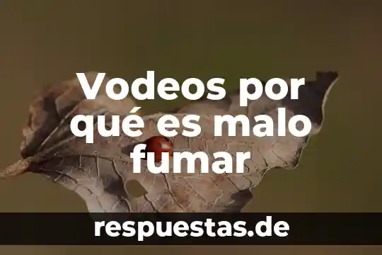 Por que es bueno fumar 6 Vodeos por qué es malo fumar