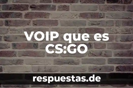 Que es intrumento musical maraca 4 VOIP que es CS:GO