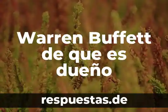 Qué es energía cinética 6 Warren Buffett de que es dueño