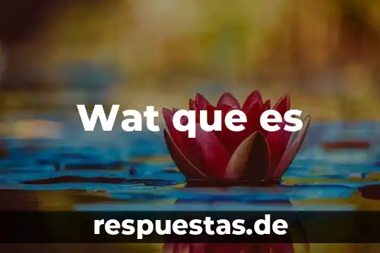 Que es centriolos significado 8 Wat que es