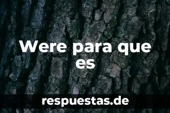 Qué es intrepido en filosofía 6 Were para que es