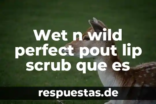 Wifi 802.11b g n que es 3 Wet n wild perfect pout lip scrub que es