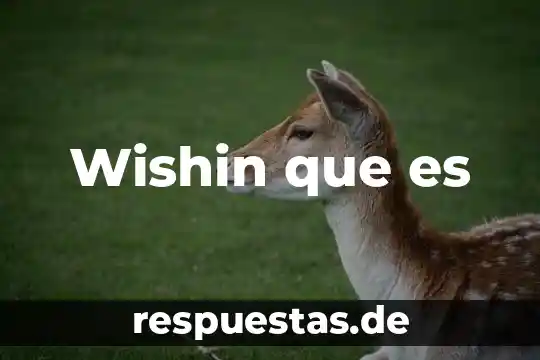 Wishin que es
