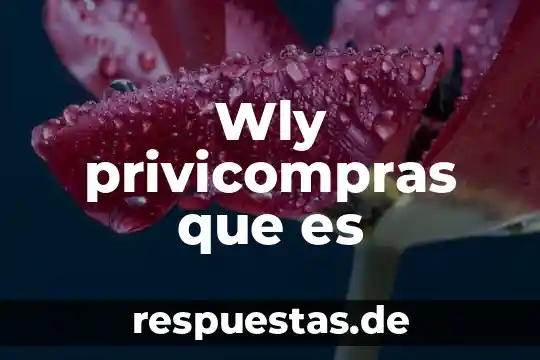 Qué es crisis concepto 4 Wly privicompras que es