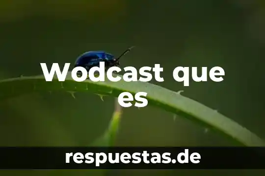 Tutor significado que es 4 Wodcast que es