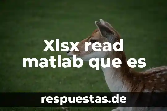 Qué es intacto significado 3 Xlsx read matlab que es