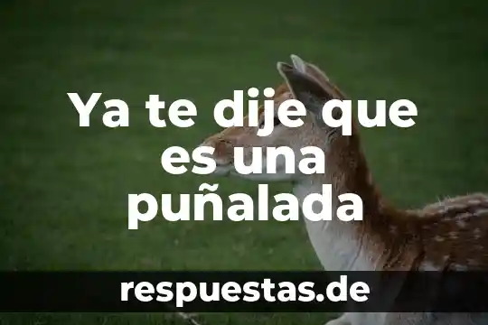 Qué es T.E en tecnología 4 Ya te dije que es una puñalada