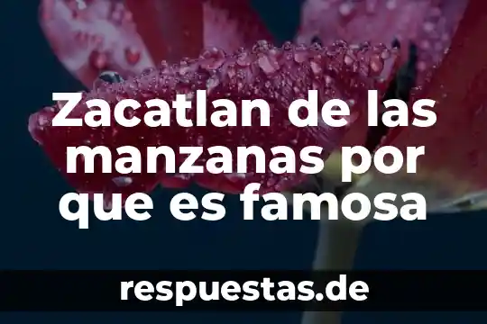Qué es número de moles ponderales 6 Zacatlan de las manzanas por que es famosa